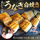 【ふるさと納税】あびこ家 パリふわっうなぎ白焼き 2本　うなぎ 鰻 白焼き 国産 特大　AD04