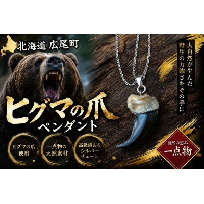 ふるさと納税 広尾町 ヒグマの爪ペンダント(0025)