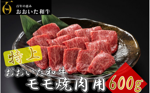 
4等級以上/おおいた和牛焼肉用モモ 600g_1974R
