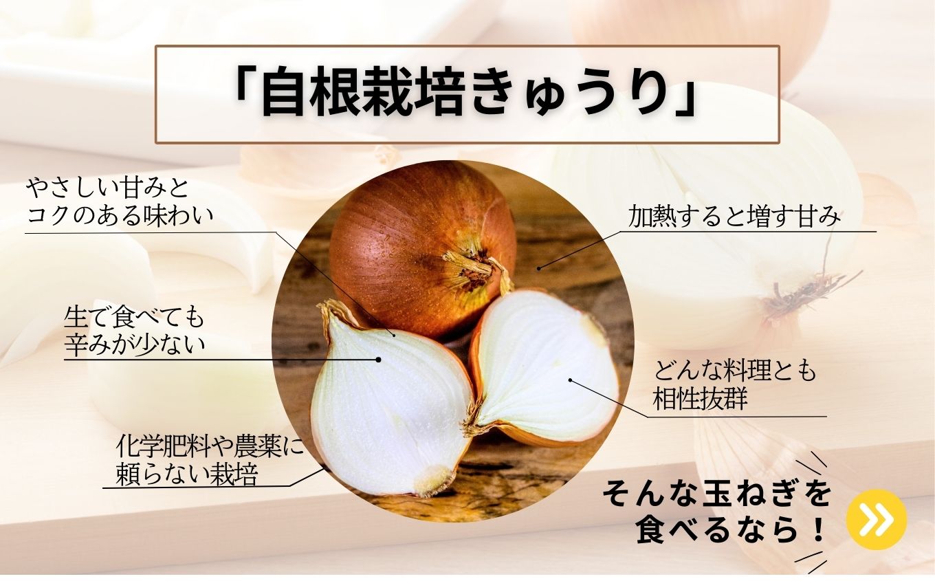 《2026年8月下旬より順次発送》有機たまねぎ10kg【西谷さとう農園】