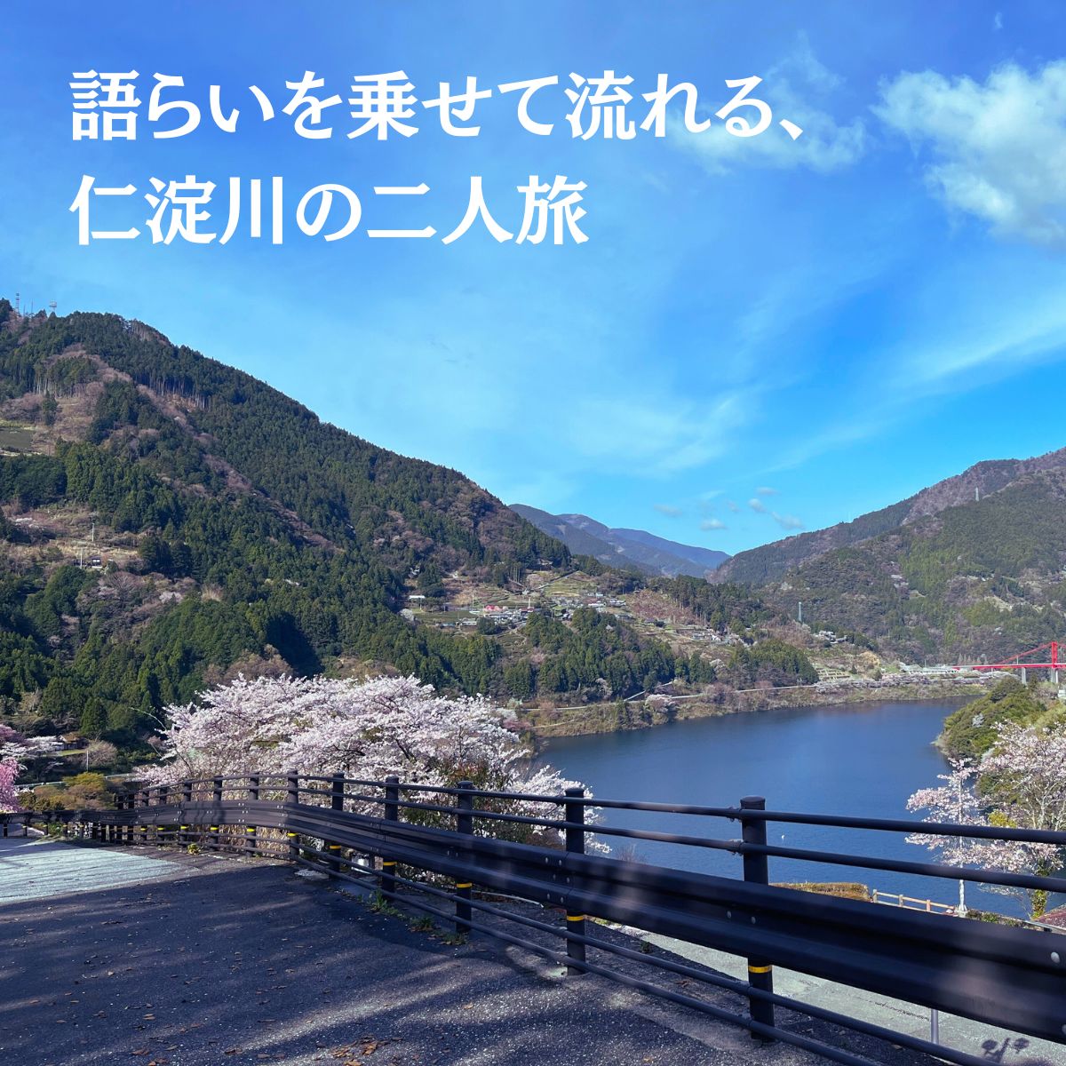【ふるさと納税】秋葉の宿 ペア 素泊まりプラン 食事 四国 宿泊券 高知 宿泊 仁淀川町