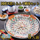 【ふるさと納税】天然 とらふぐ 刺身 セット 5人前 期間 限定 菊盛 200g 身皮 200g 冷蔵 高級魚 ふく とらふく ふぐ ひれ 酒 用 低カロリー 高タンパク 低脂肪 コラーゲン 皮 ポン酢 もみじ 付き 陶器皿 下関 山口 指定日可 ヤマモ水産