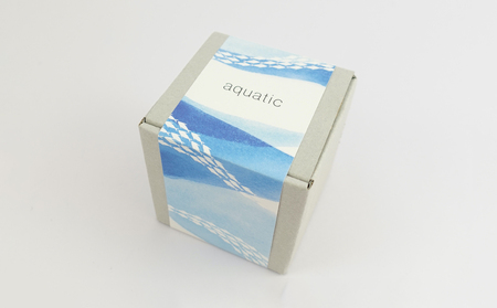 浅草切子 aquatic「Penguin Climb 冷酒 青藍切立」_0012-070-T07