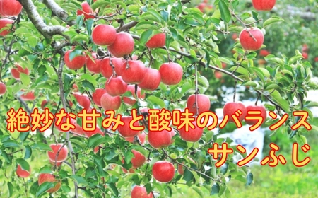 【2026年先行予約】サンふじ+シナノゴールド 約3kg| りんご りんご