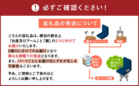 072-1002-I 【アイビーグリーン】ライオン有限会社 ワークチェアー エビータ ( 2436WF-K ) オフィス ワーク チェアー コンパクト ゲーミングチェア ゲーム チェア テレワーク