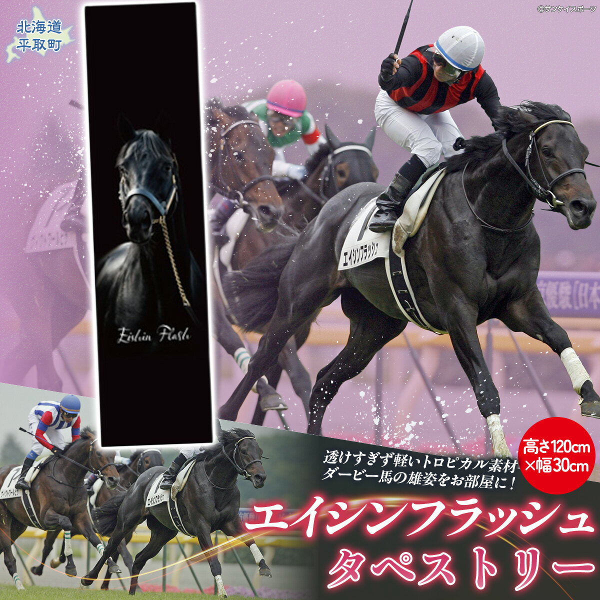 【ふるさと納税】【エイシンフラッシュ】タペストリー【ふるさと納税 人気 おすすめ ランキング 馬 競馬 競走馬 引退馬 エイシンフラッシュ 日高 北海道 平取町 送料無料】 BRTV031