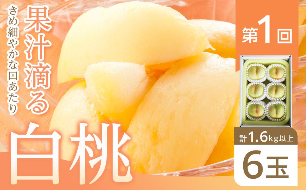 【全6回コース】晴れの国岡山 フルーツ定期便