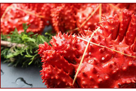 [12月21日決済分まで年内配送]【北海道根室産】花咲ガニ410～560g×4尾 A-57005