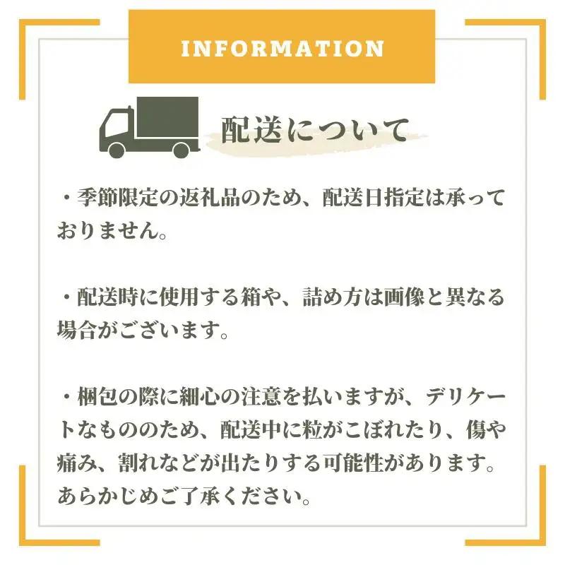 【食べきり定期便】季節の果物 定期便 全3回 白桃・ピオーネ・シャインマスカット 【先行予約 2026年7月下旬から順次発送】