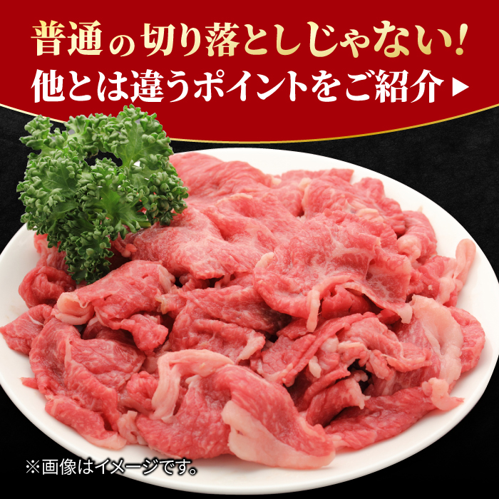 【全12回定期便】すき焼き しゃぶしゃぶに！佐賀牛 赤身とバラ肉の切り落とし 500g（250g×2P） 吉野ヶ里町/NICK’S MEAT [FCY016]