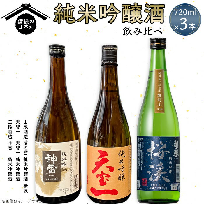 【ふるさと納税】【びんご圏域連携】備後の日本酒『純米吟醸酒』飲み比べセット［No.1038］／ お酒 アルコール 神雷 天寶一 蘭の誉 贈り物 セット 送料無料 広島県