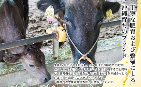 【定期便3回】【もとぶ牛】もとぶ牛 牛丼の素 ギフトセット(180g×4食) 県産和牛 黒毛和牛 国産 牛肉 美ら海 ブランド 和牛 加工品 人気 オススメ おすすめ グルメ 贅沢 高級 おかず お取