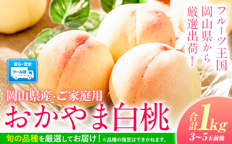 【令和7年度受付分 先行予約】おかやま白桃 もも 桃 1kg 3~5玉前後 岡山県産 ご家庭用《2025年6月下旬-9月上旬頃出荷》岡山県 浅口市 厳選出荷 白桃  白鳳 清水白桃 おかやま夢白桃 川中島白桃 白皇 果物 フルーツ