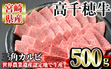 高千穂牛 三角カルビ(500g)【MT012】【JAみやざき 高千穂牛ミートセンター】