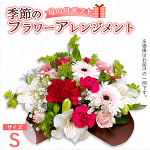 【母の日】 フラワーアレンジメント（S） / 生花 フラワーアレンジメント 花束 綾部市 / 有限会社トリオ［BSDZ054］