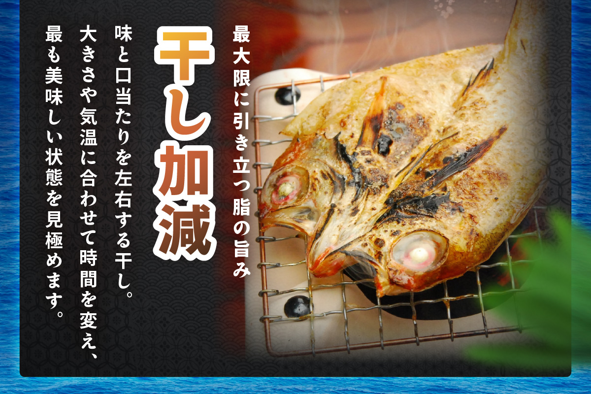 山陰浜田 香住屋のこだわり干物「社長のお任せセット」 魚介類 魚貝類 魚 干物 一夜干し セット 詰め合わせ 【948】