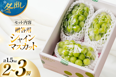【期間限定発送】 2026年 冬出し 贈答用 シャインマスカット 1.5kg (2～3房)