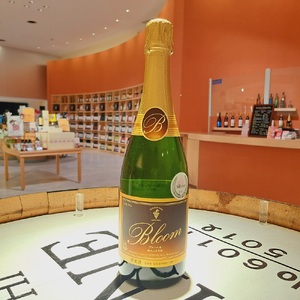 十勝ワイン ブルーム白6本 北海道スパークリング 瓶内二次発酵 スパークリングワイン 辛口 申し込みから最短2日で発送