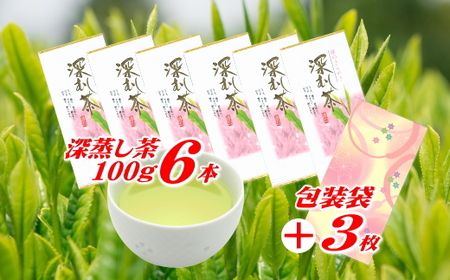 【深蒸茶】摘みたて！深蒸し茶100ｇ×6本 包装袋セット　牧之原市 お茶のミズイ園