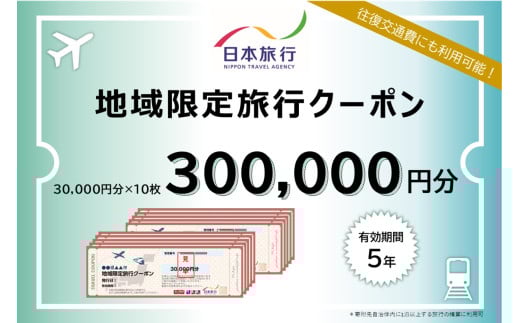 愛知県南知多町 日本旅行 地域限定 旅行クーポン 300,000円分 旅行 旅行券 観光 レジャー 宿泊 アウトドア 温泉 リフレッシュ 家族 友人 カップル 愛知 南知多