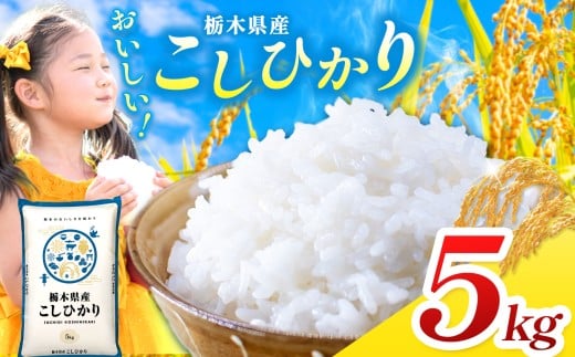 【栃木県共通返礼品】【令和7年度産】 訳あり 栃木県産コシヒカリ 5kg | ふるさと 納税 コシヒカリ お米 精米 白米 玄米 大粒 共通返礼品 送料無料 那珂川町 栃木県