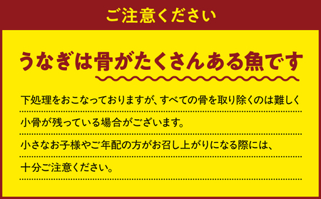 2488 【 定期 3回 】大隅特産 うなぎ蒲焼 5尾（850g）【 国産 】 KN060-T12 魚 冷凍 鰻 定期便