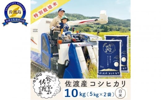 【新米予約】佐渡島産コシヒカリ 白米10kg（5kg×2袋） 特別栽培米 農家直送