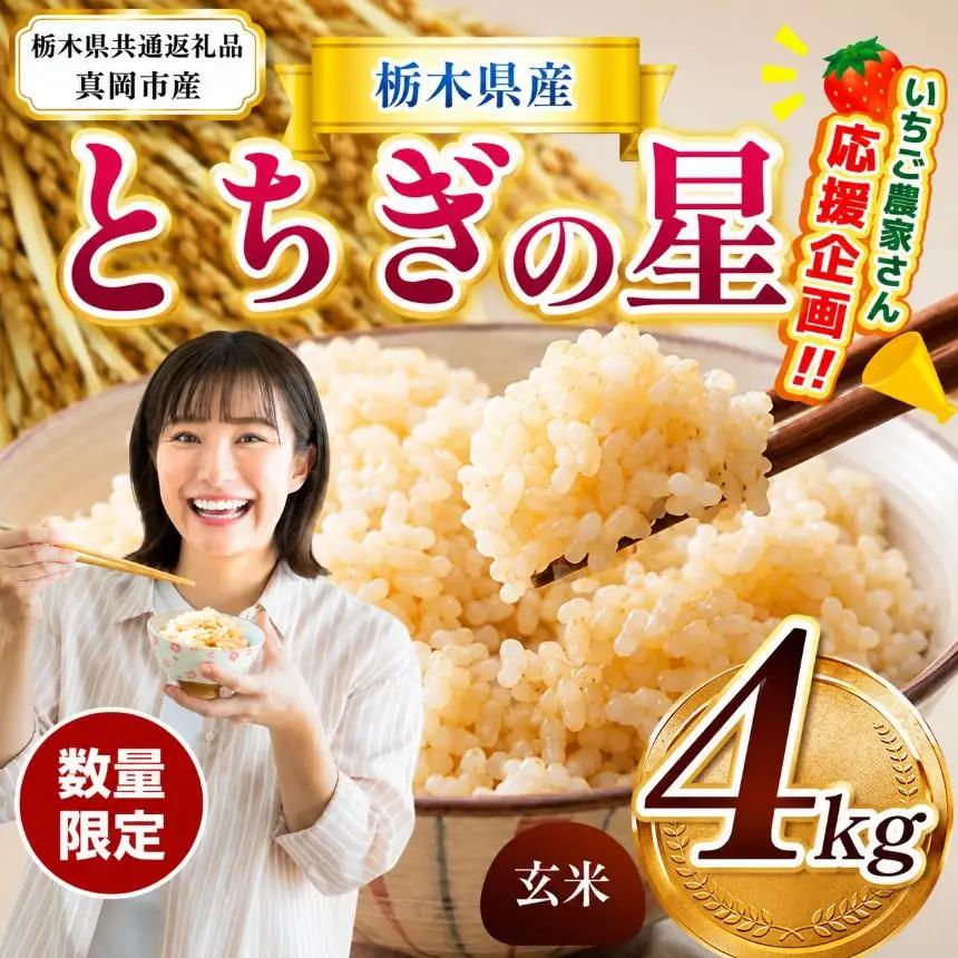 先行予約【令和8年度産】栃木県産とちぎの星 4kg | 新米【栃木県共通返礼品】 