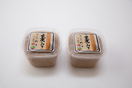 里山の無添加の手作りみそセット2種（のじり農産加工センター）  