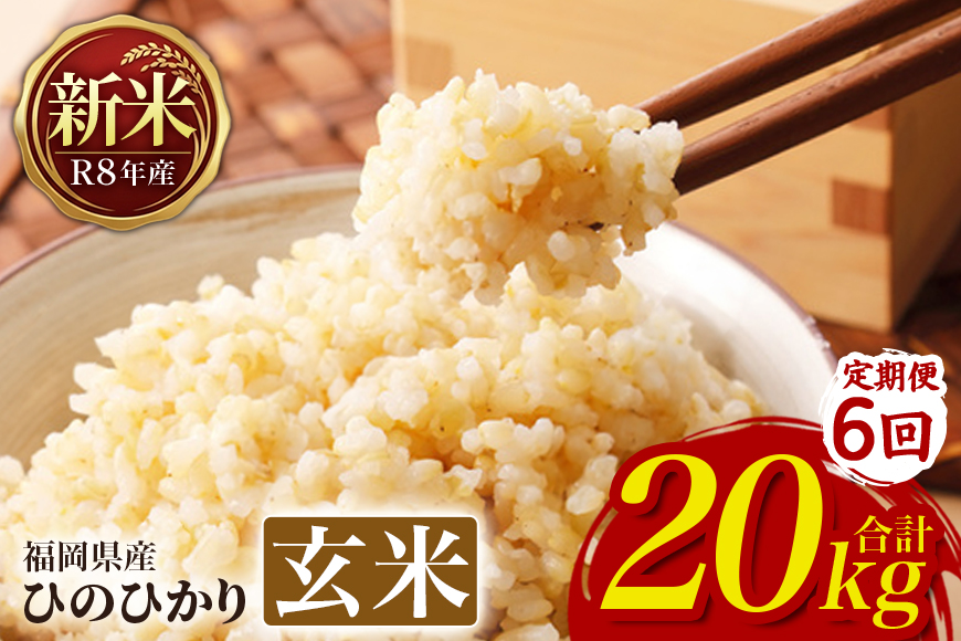 【6回定期便】 ひのひかり 米 お米 玄米 20kg 20キロ 令和8年産 新米 福岡県産 うきは市 国産 精米 ご飯 ごはん おにぎり お弁当 人気 おすすめ 家庭用 ギフト プレゼント お中元 お