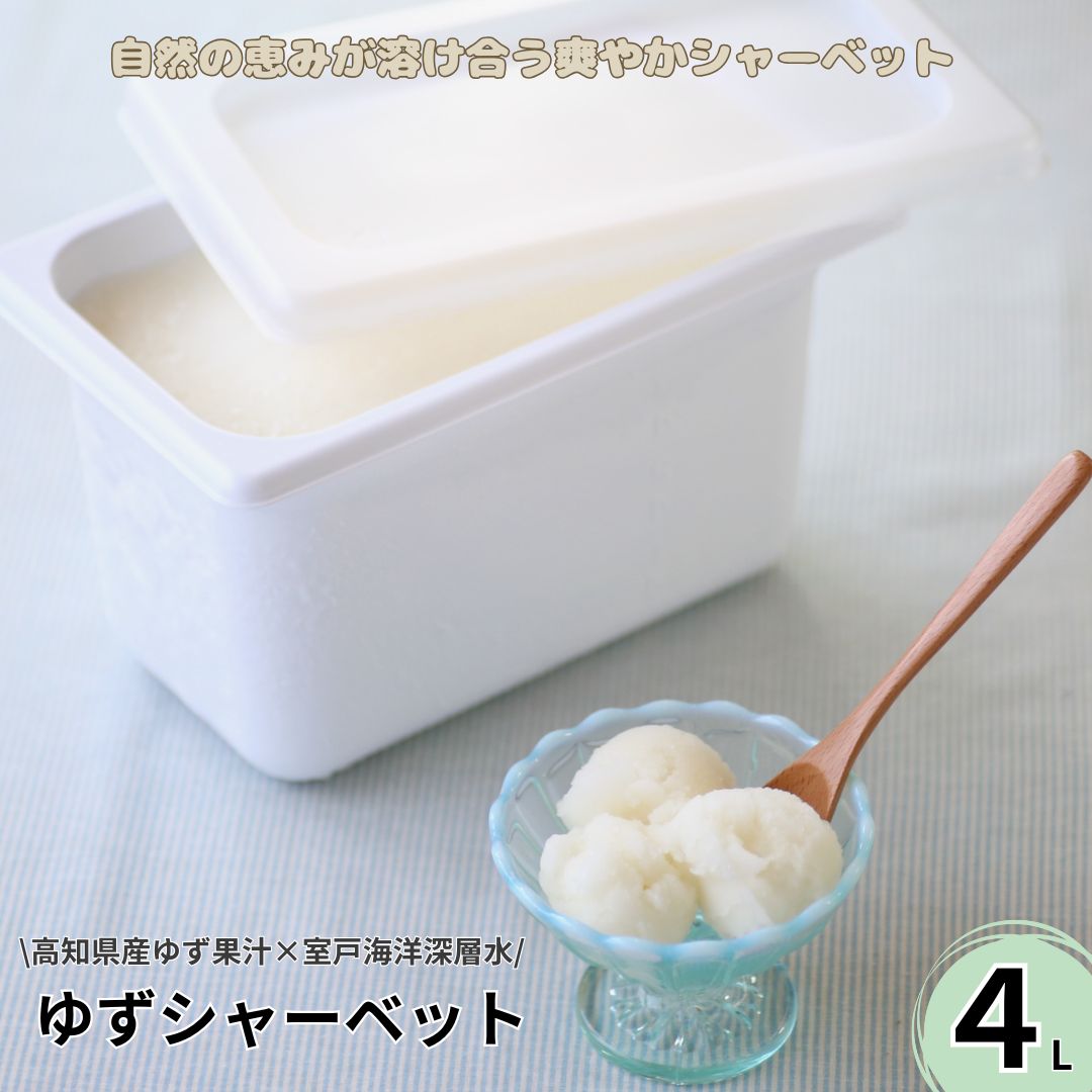 【ふるさと納税】 室戸の海洋深層水×高知県産ゆず果汁使用 濃厚で爽やかな ゆずシャーベット アイスクリーム 4L 大容量 アイス 業務用 スイーツ ご家庭用 人気 ギフト お取り寄せ 冷凍 送料無料