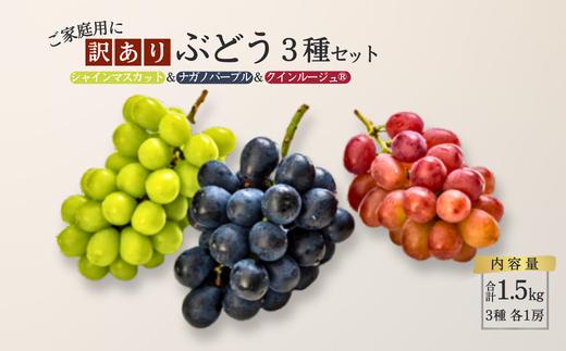 ぶどう3種セット 【家庭用】 （ナガノパープル／シャインマスカット／クイーンルージュ®） 約1.5kg ／ 2026年9月初旬～10月頃 配送予定［TK32］//ぶどう 葡萄 3種セット 食べ比べ 長