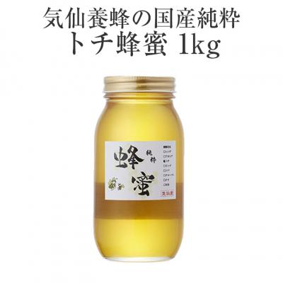 ふるさと納税 陸前高田市 気仙養蜂の国産純粋蜂蜜〈トチ〉1kg 瓶入り