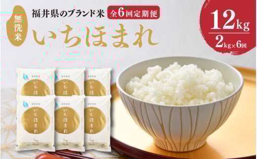 【令和7年産・新米】定期便 ≪6ヶ月連続お届け≫ 福井県のブランド米 いちほまれ 無洗米 2kg × 6回 計12kg 【 無洗米 人気 品種 ブランド米 特A 】[F-6108]