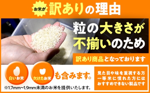 【令和7年産】 【訳あり】 【数量限定】 家計応援米 10kg×1袋 / 米 10kg コメ こめ ブランド米 つきあかり あきさかり コシヒカリ ハナエチゼン にじのきらめき 令和7年産 訳あり米 
