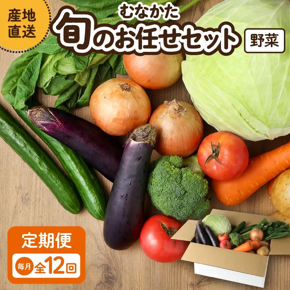 【毎月お届け】むなかた旬のお任せセット 野菜7～9品 _HB0173 | 野菜セット 定期便