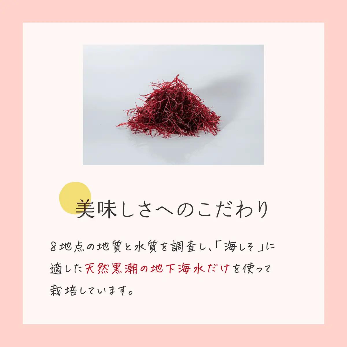海藻２種セット 乾燥 あおさ12g×3P 海しそ24g×3P