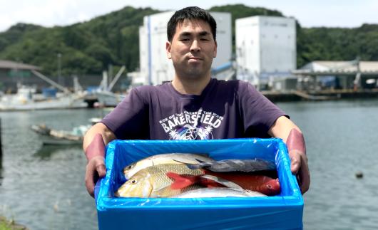 
                  新鮮土佐魚の詰合せセットB
                