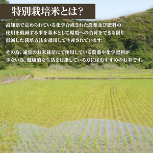 玄米 特別栽培米 コシヒカリ 5kg 5キロ 先行予約 令和7年8月中旬以降順次発送予定 お米 おこめ 米 こめ ごはん 飯 こしひかり ブランド米 おいしい 国産 土佐清水産 送料無料 高知県 土佐