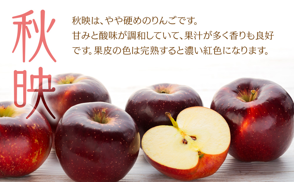 贈答用 りんご 秋映 4.5kg 16～18玉 林檎 リンゴ 果物 くだもの