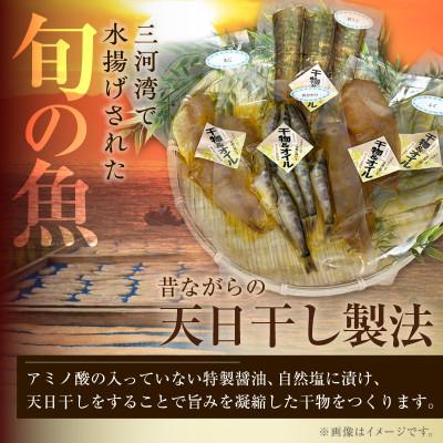 ふるさと納税 西尾市 菜種油漬け干物セット・T139 |  | 01