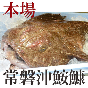 【2027年1月発送】常磐沖のあんこう鍋セット（3～4人前）〈出荷時期:2027年1月5日出荷開始～2027年1月25日出荷終了〉【 あんこう鍋 茨城県 日立市 】