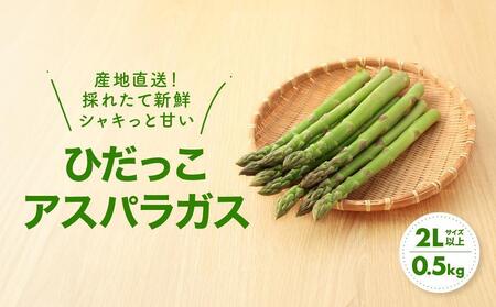 【2025年発送】2Lサイズ以上 ひだっこアスパラガス 0.5kg | アスパラガス 飛騨産 野菜 春 夏野菜 産地直送 新鮮アスパラガス おいしいアスパラガス 人気アスパラガス 飛騨高山 ひだっこの里 CM003VC01| アスパラガス