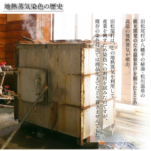 【八幡平GEOCOLOR】 八幡平地熱蒸気染色 ワークショップ 体験チケット 2名様分 ／ 地熱染め 体験教室 現地で体験 手絞り 手染め 染物 染め物 染色 体験型 体験 チケット 染色体験 染物体