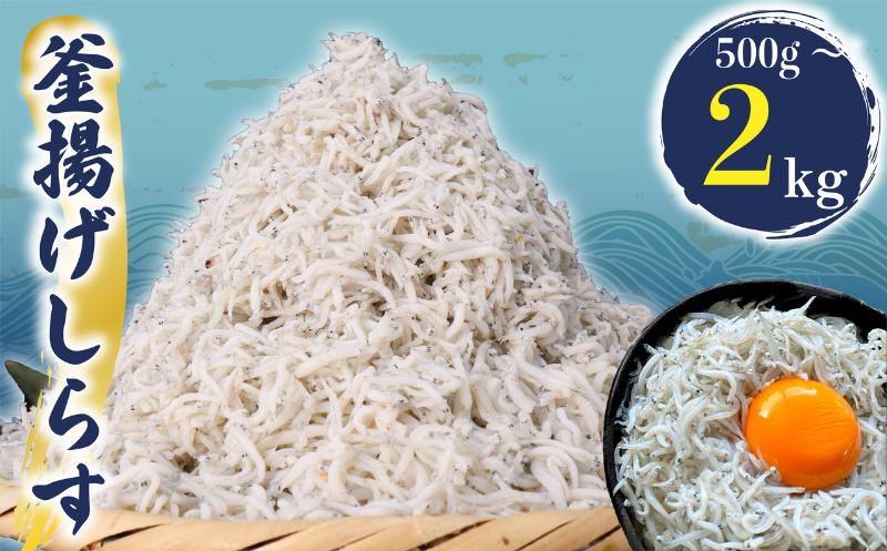 
            釜揚げ しらす 約 500g 1kg 2kg (約250gx2・約250gx4P・約250gx8P小分け包装) ふっくら 釜揚げしらす 九十九里産 シラス 釜揚げ 天日干し 魚介類 無添加 魚介 海の幸 海 魚 贈答 ギフト プレゼント 贈答 記念日 お祝い 送料無料 千葉県 旭 飯岡ヤマイチ水産-大納屋-  メディア 千葉県 旭市
          