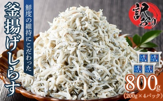 
            釜揚げ しらす(訳あり) 800g(200g×4P)【釜揚げ しらす シラス ちりめん じゃこ 海鮮 海産物 丼 おにぎり 具材 ご飯 おつまみ おやつ 小魚 乾物 国産 しらす丼 国産 冷凍 小分け 個包装 香川県 さぬき市】
          