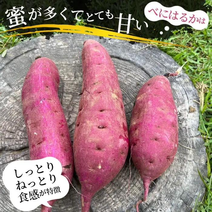 坂東市産　冷凍焼きいも　紅はるか1kg No.516