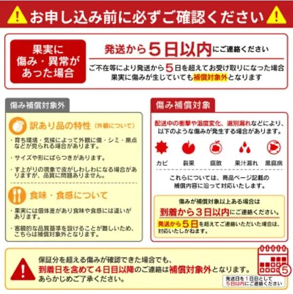 【先行予約】 訳あり 愛南ゴールド 約5kg＋傷み保障約1kg 合計約6kg 河内晩柑 柑橘 フルーツ 果物 みかん 家庭用 傷 不揃い 農園直送 愛媛県 愛南町 エニシトラス 発送期間：2027年4