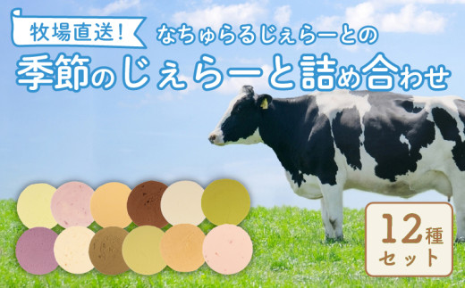 なかの牧場なちゅらるじぇらーとセット 12個入  ミルク チョコ ブルーベリー チーズ お茶 緑茶 紅茶 ほうじ茶 ラム レーズン ピスタチオ 塩 キャラメル アイス ジェラート セット 季節 お茶 冨士美園 てづくり なちゅらるじぇらーと なかの牧場 12個 父の日 F02