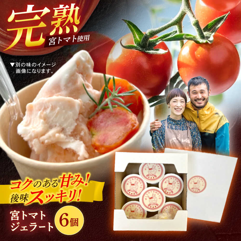 【ふるさと納税】宮トマトジェラート 80ml×6個 / ジェラート トマト とまと アイス　アイスクリーム スイーツ / 諫早市 / 宮下農園[AHCG032]